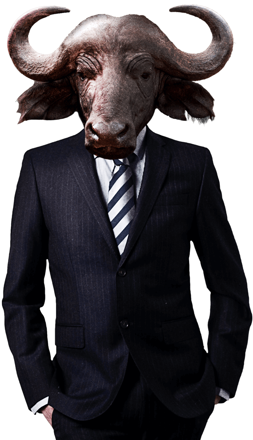 A bull in suit