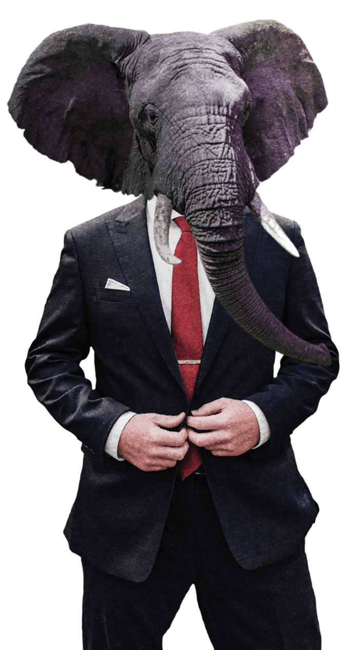 An elephant in suit