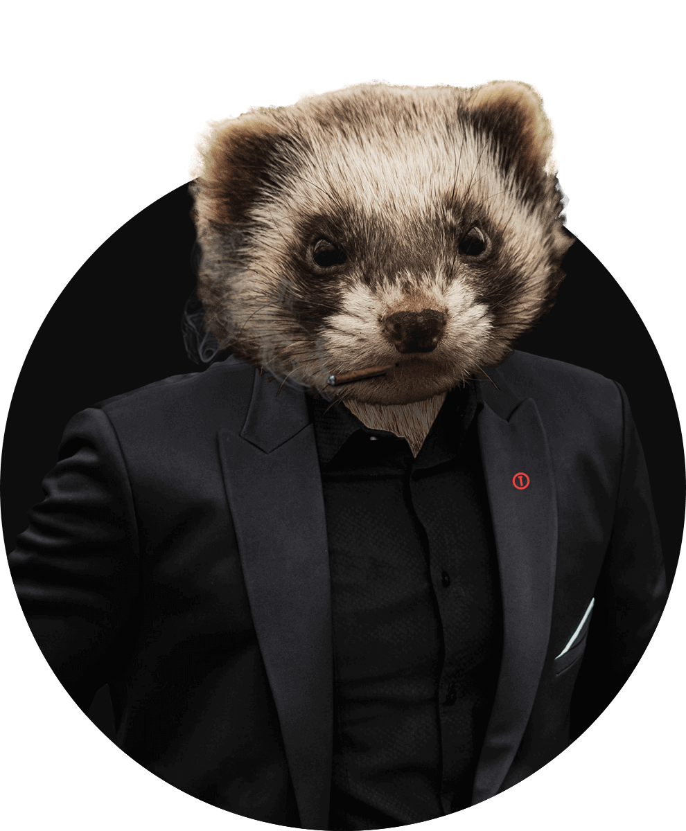 A ferret in suit