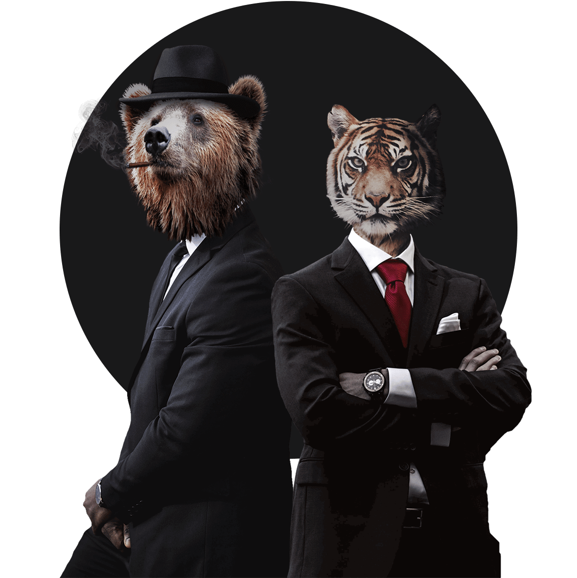 A bear and a tiger in suits ready for business